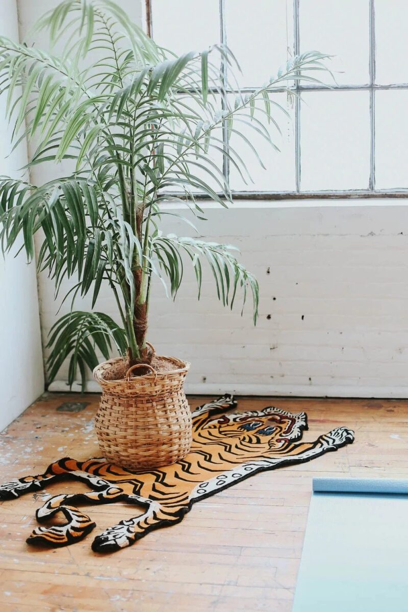 Tibetan Tiger Rug Hand Tufted Meditation Rug - Image 8