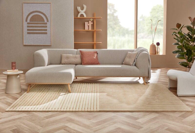 Modern Strips Pattern Rug For Living Room Decor - Image 4
